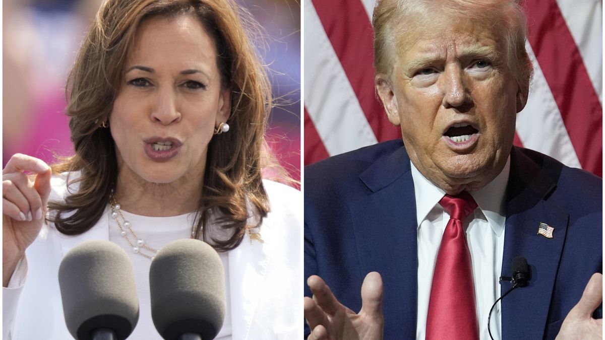 Trump vs Harris: quem está a liderar as sondagens para as eleições ...